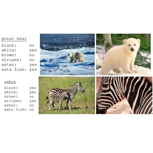 动物属性标记数据集