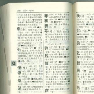 中华新华字典数据库