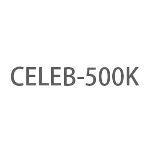 celeb500k-人脸识别领域的大型数据集